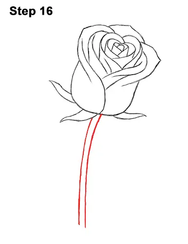 Rose Drawings: | landscapedrawing